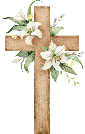 Cruz